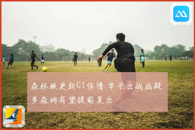 森林狼更新G1伤情 华子出战成疑 多森姆有望提前复出