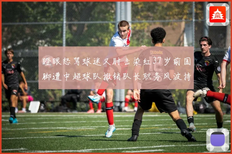 瞪眼怒骂球迷又肘击染红37岁前国脚遭中超球队撤销队长职务风波持续