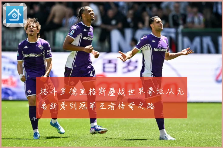 格斗罗德里格斯鏖战世界拳坛从无名新秀到冠军王者传奇之路
