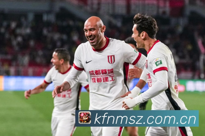篮球巨塔戈贝尔的防守艺术与赛场统治力全解析